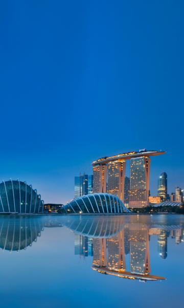 Singapore  & Regional  Business